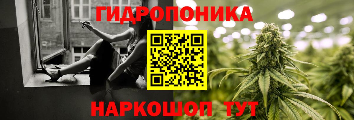 Новоалександровск  Каннабис марихуана  МАРИХУАНА ГИДРОПОН  Вход с VPN  Шишки марихуана конопля  Марихуана Bruce Banner 